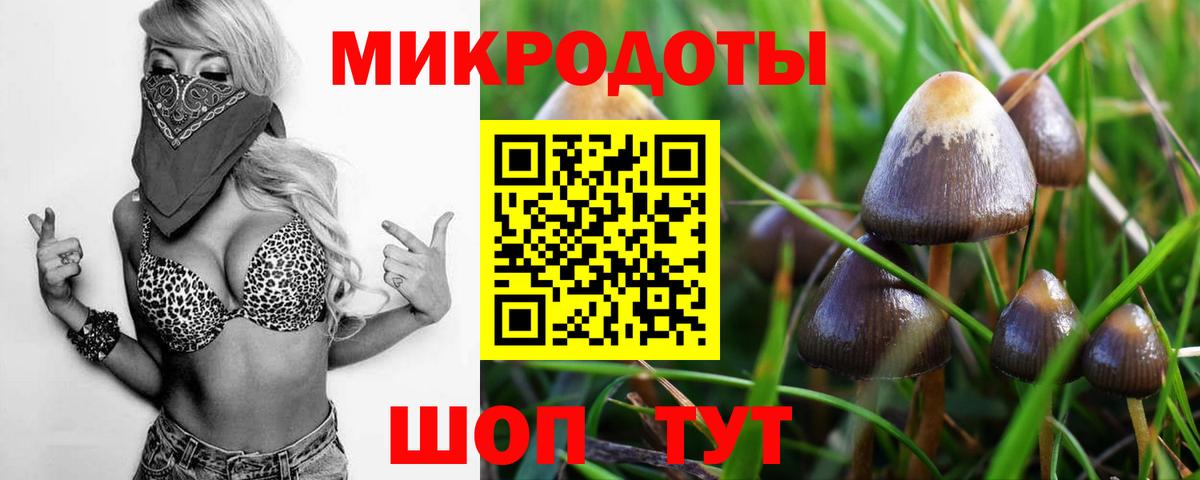 Скопин  Псилоцибиновые грибы MAGIC MUSHROOMS  Вход с VPN 